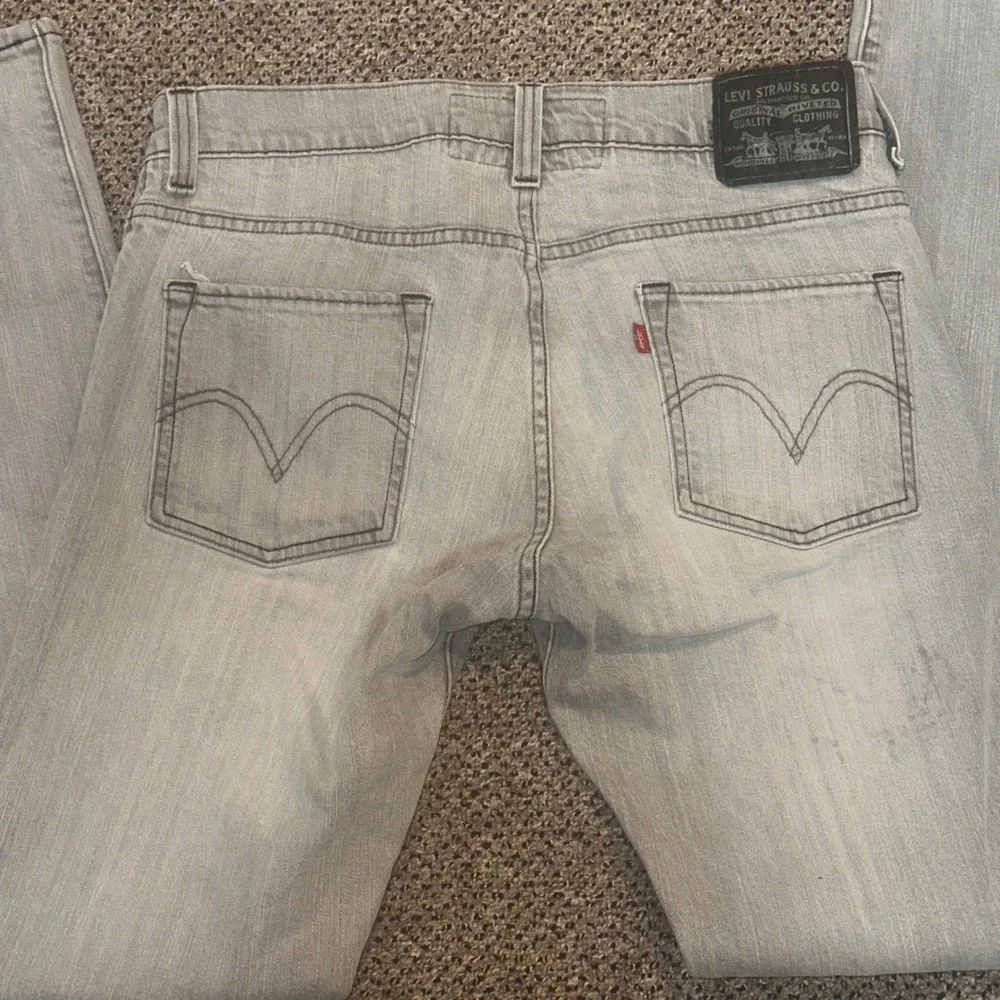 Levis levis 511